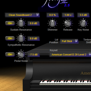 Synthogy Ivory2 American Concert D 피아노 가상악기 이미지