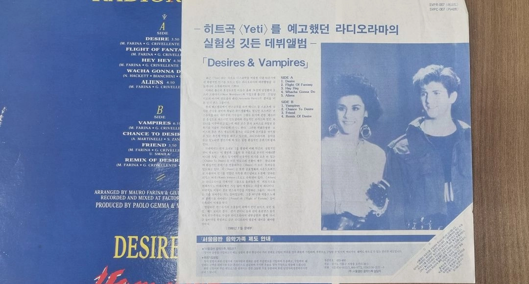 라디오라마 lp 이미지