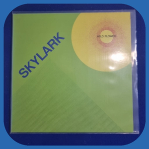 스카이 락 LP M/M 이미지