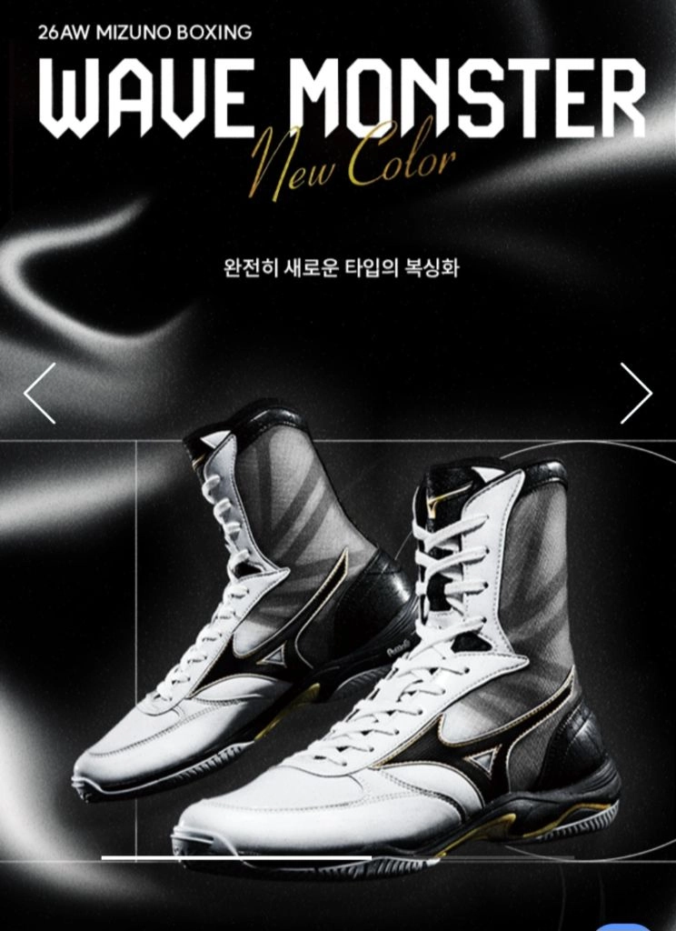 미즈노 웨이브몬스터 270 이미지