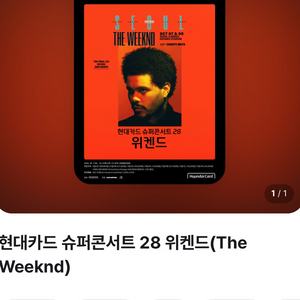 콘서트 티켓 이미지