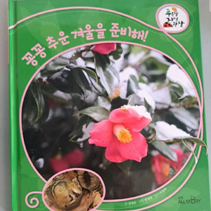 푸른 자연 관찰 10권 서적 이미지