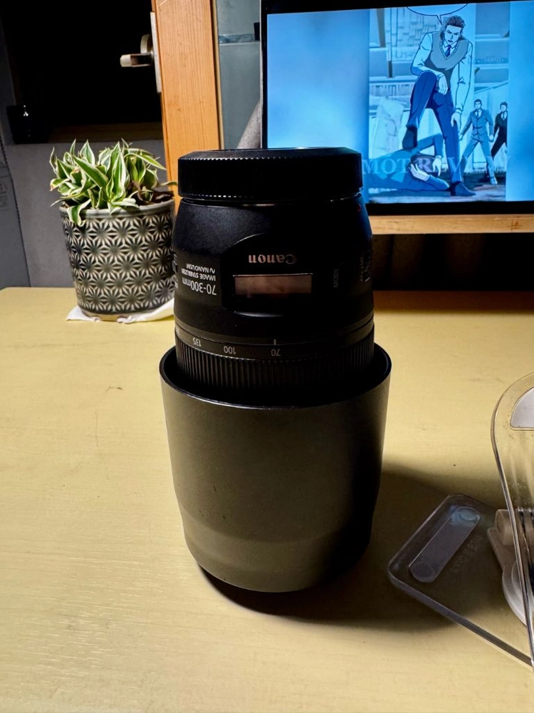 Canon Ef 70-300mm II - 안심되는 중고거래