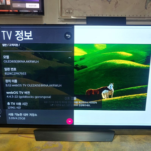 LG 65인치 고급형 OLED TV (OLED65E8KNA) 판매합니다. 이미지
