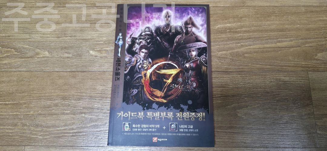 세븐 소울즈 가이드북 이미지