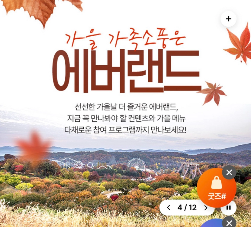 에버랜드 종일권 팔아요 평일29 / 주말37 (~10월 23일까지) - 안심되는 중고거래