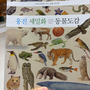 동물도감 세밀화 이미지