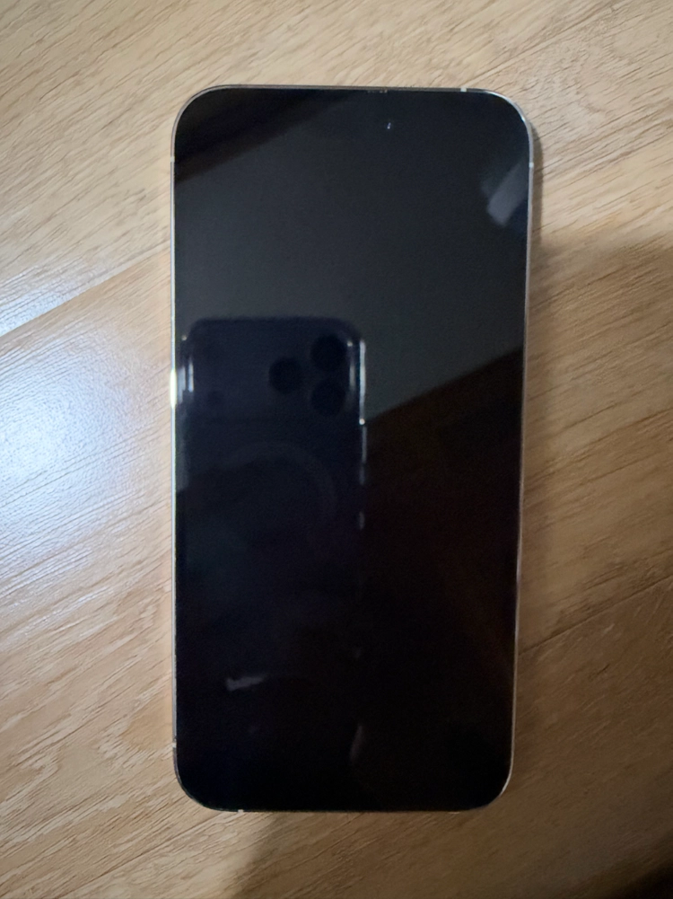 아이폰 14 프로 맥스 256GB 실버 이미지