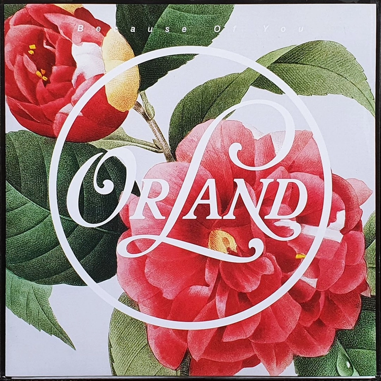 ORLAND Because Of You 7인치 EP 미개봉 신품 이미지