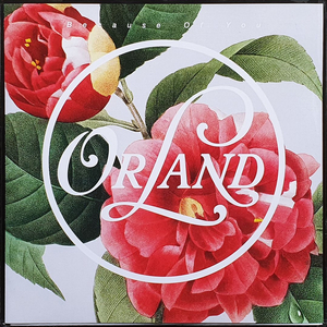ORLAND Because Of You 7인치 EP 미개봉 신품 이미지