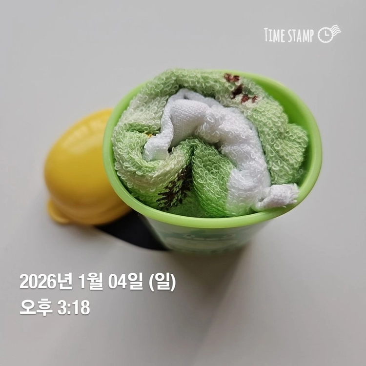 이웃집 토토로 수건 및 수건통 (손수건) 이미지