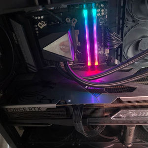 9800x3d RTX 5080 뱅가드 이미지
