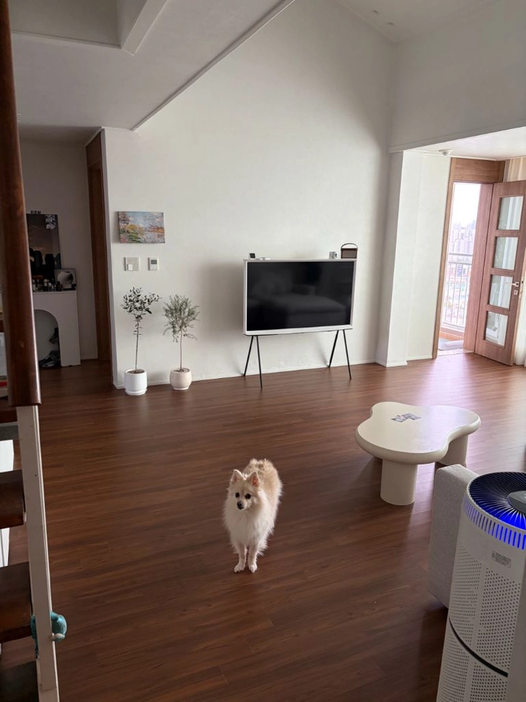 삼성 세리프 55인치 티비 이미지