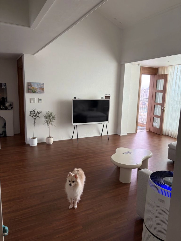 삼성 세리프 55인치 티비 이미지
