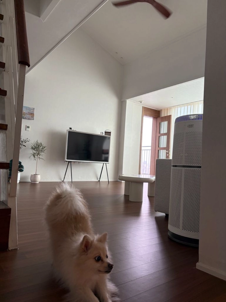 삼성 세리프 55인치 티비 이미지