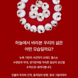 전시 브래드 월스 사진전 할인티켓 1인 12000원(최대 4인) 이미지