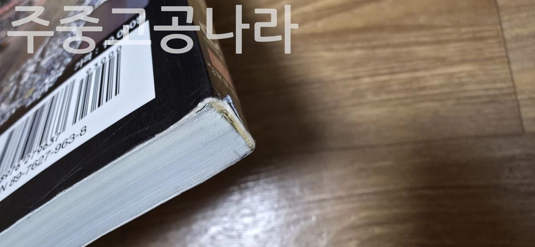 던전시즈 공식 가이드북 이미지