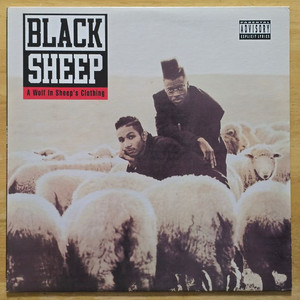 LP 레코드 Black Sheep 블랙 쉽 - A Wolf In Sheeps Clothing 미국반 이미지