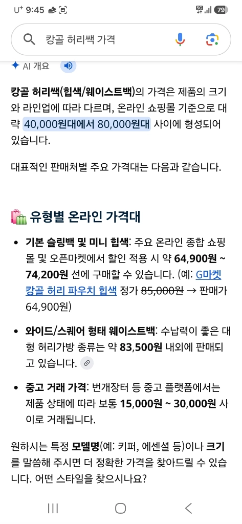캉골 허리쌕 힙쌕 가방 남녀공용 이미지