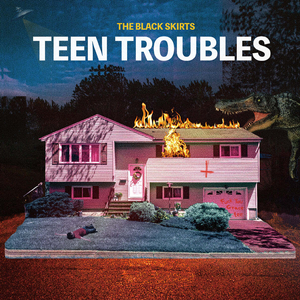 검정치마 TEEN TROUBLES 개봉 LP 판매합니다 이미지