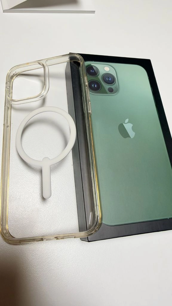 아이폰 13 Pro max 알파인 그린 256GB 이미지