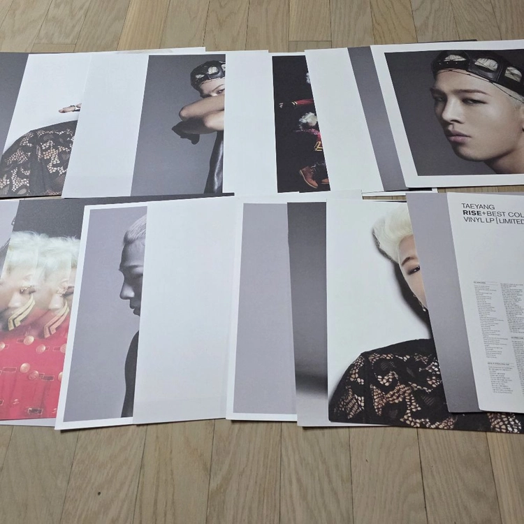 빅뱅 태양 RISE+베스트 컬렉션 한정반 2LP 이미지