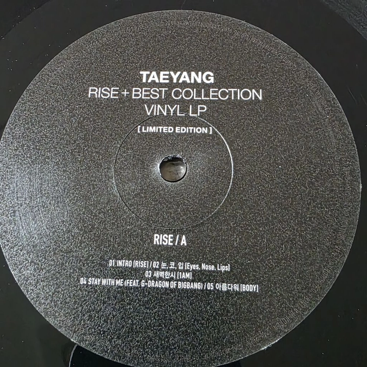 빅뱅 태양 RISE+베스트 컬렉션 한정반 2LP 이미지
