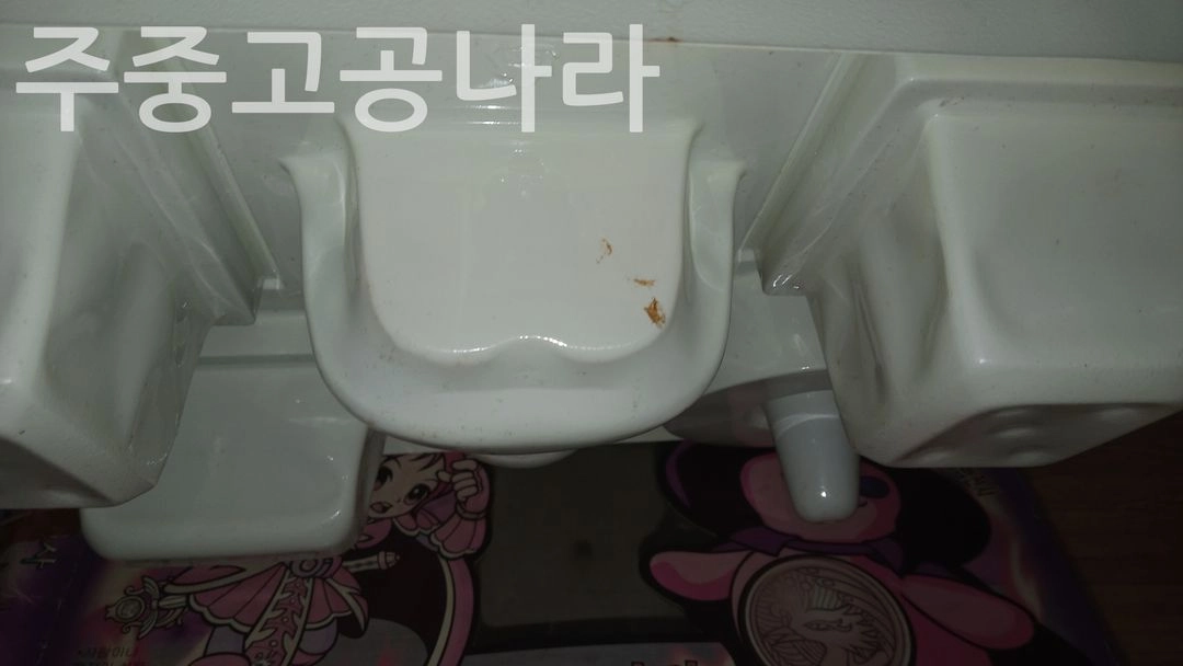 마법전사 미르가온 리틀아라 - 애완로봇 리틀마법전사 이미지