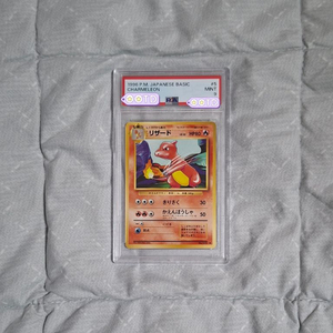 일판 1996 베이스셋 리자드 psa9 초판 올드백 고대 포켓몬카드 빈티지 베이스 셋 base set 이미지