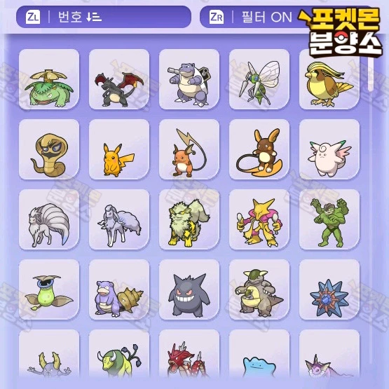 이로치 & 실전 포켓몬 스칼렛 바이올렛 분양 / 챔피언스 포챔스 이미지