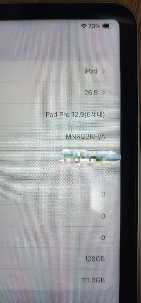 아이패드 12.9인치 6세대 128GB WIFI 실버+애플펜슬 이미지
