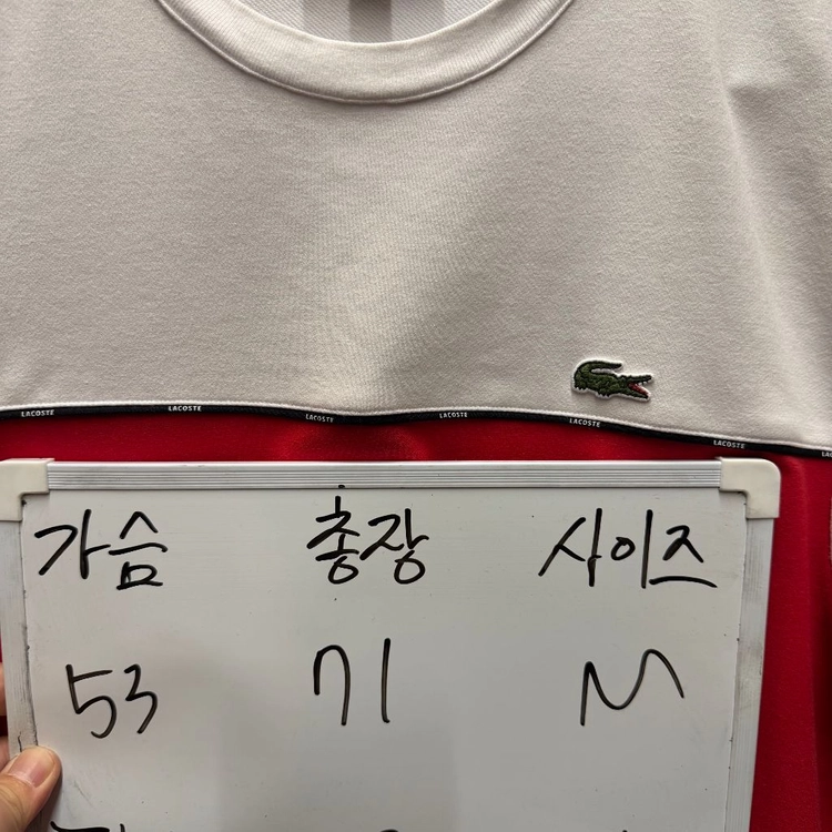 라코스테 반팔티셔츠 이미지