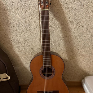 이상주 클래식 기타 50호 이미지
