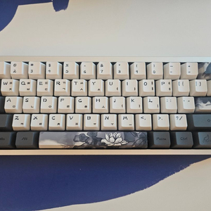 베놈 venom 60he(6.25 RGB)게이밍 키보드 팝니다 이미지