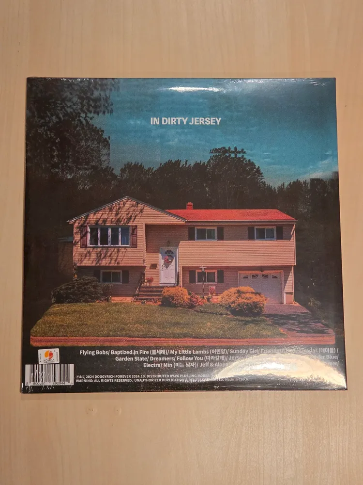 검정치마 - TEEN TROUBLES 그린컬러 LP(미개봉) 이미지