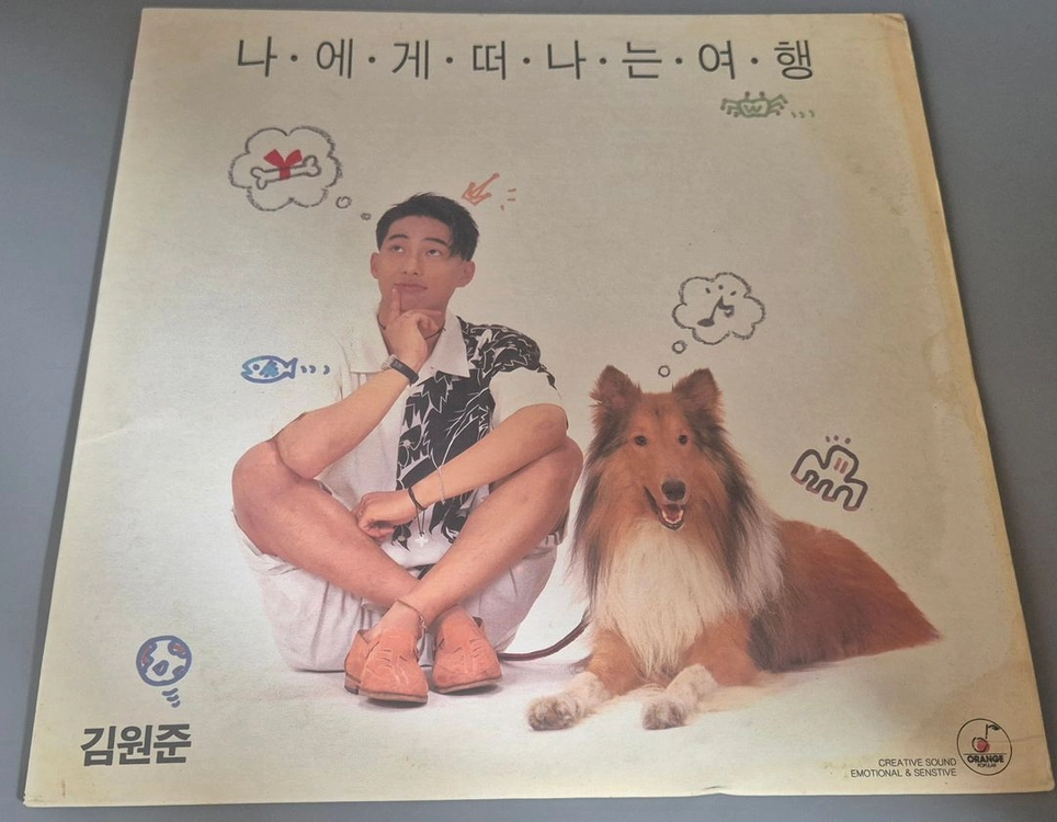 김원준 LP판 - 안심되는 중고거래