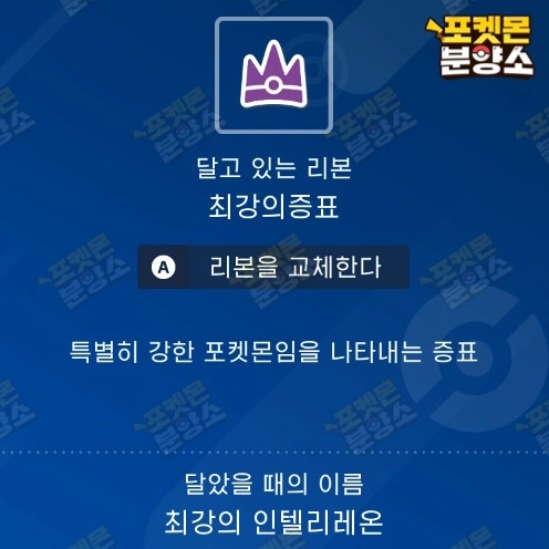 최강의 테라레이드 포켓몬 분양 / 스칼렛 바이올렛 이미지