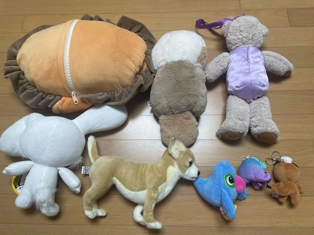 인형 쿠션 일괄 이미지