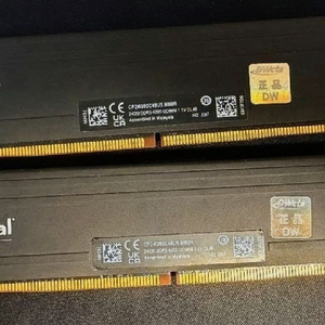 DDR5 6000 마이크론 프로 48GB(24GB x 2) 대원정품 micron pro 램 메모리 이미지