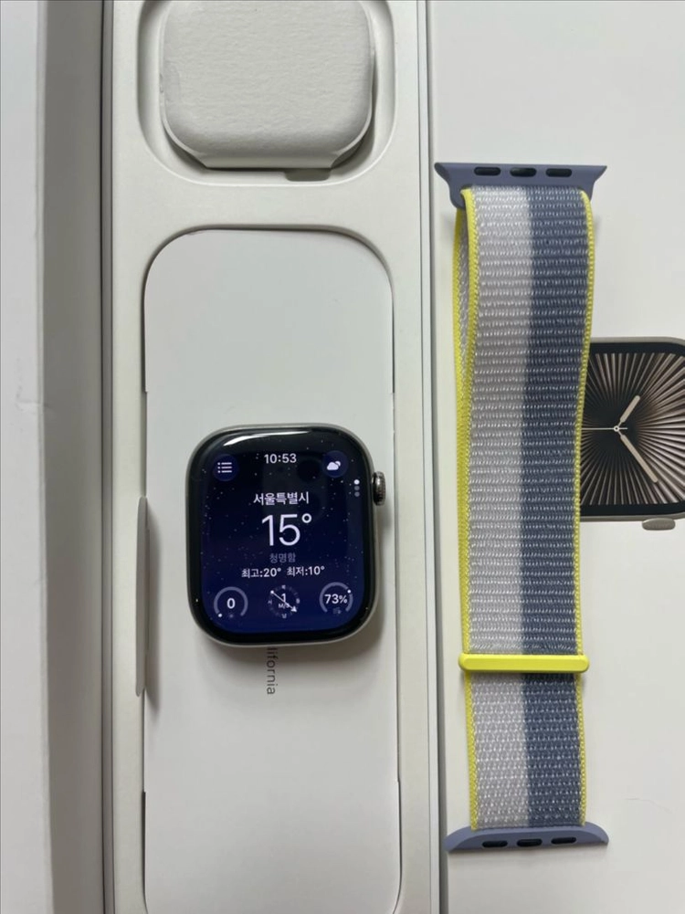 애플워치10티타늄 46mm 내추럴 SSS급 이미지
