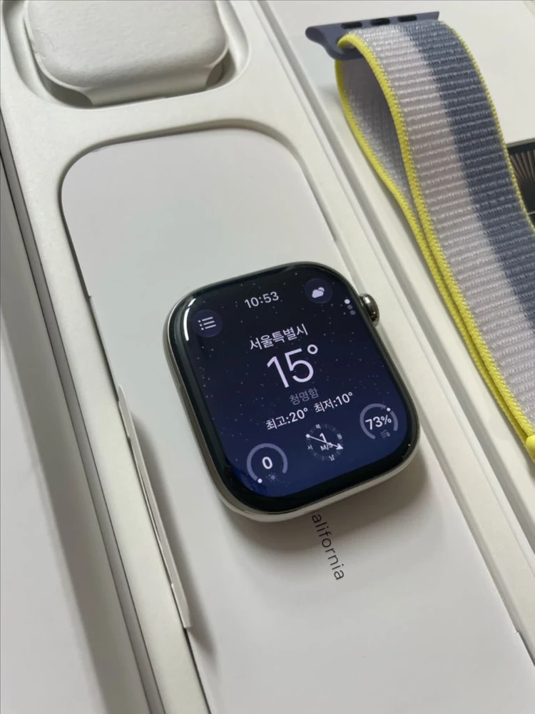 애플워치10티타늄 46mm 내추럴 SSS급 이미지