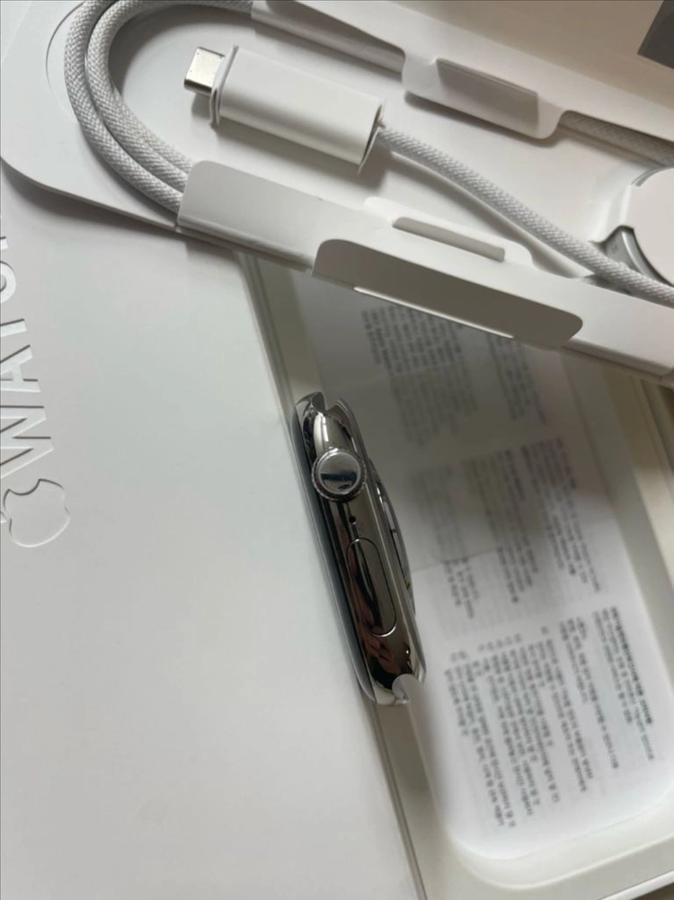 애플워치10티타늄 46mm 내추럴 SSS급 이미지