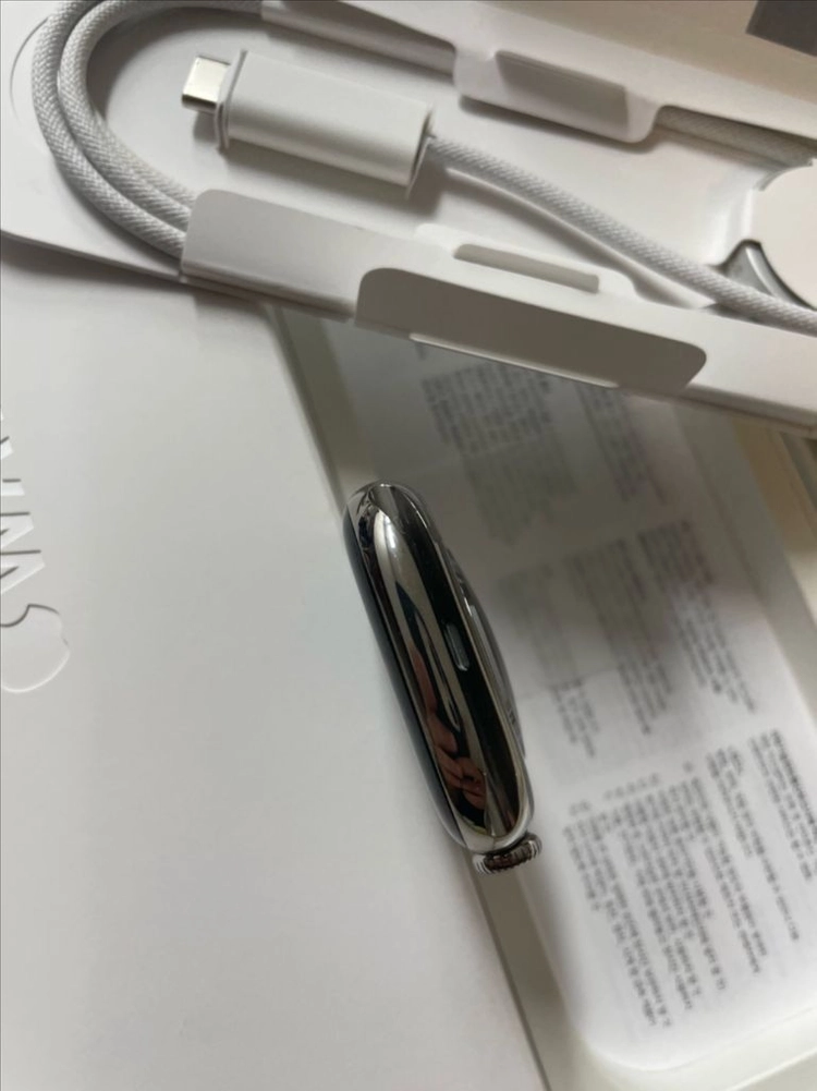 애플워치10티타늄 46mm 내추럴 SSS급 이미지