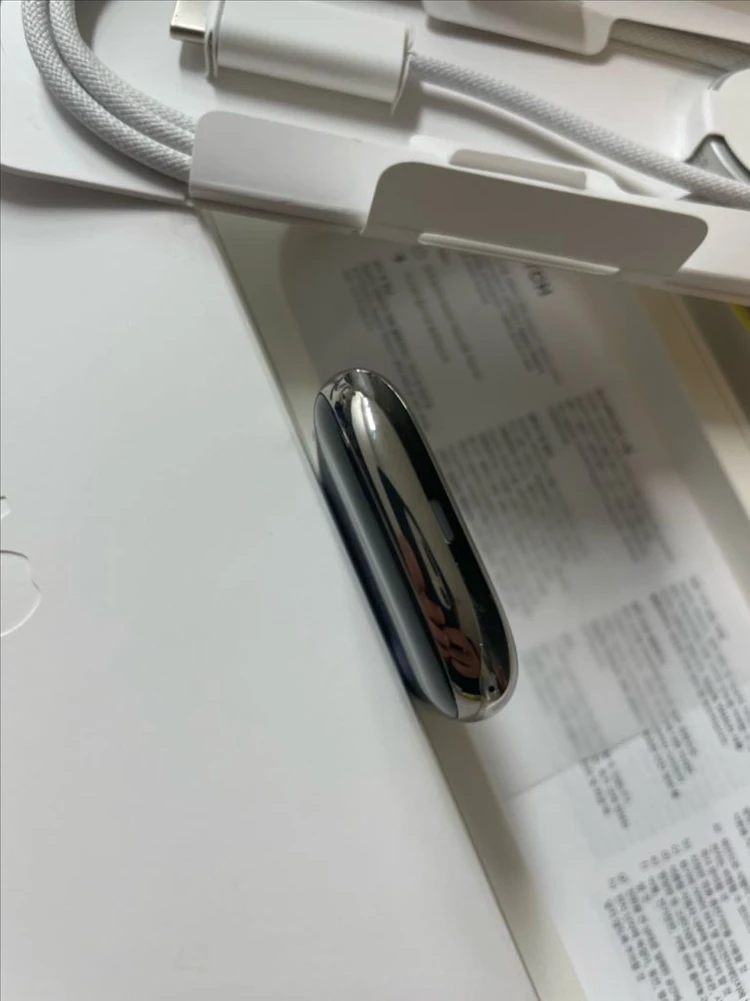 애플워치10티타늄 46mm 내추럴 SSS급 이미지