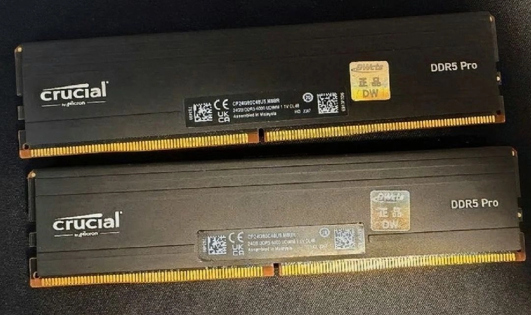 DDR5 6000 마이크론 프로 48GB(24GB x 2) 대원정품 micron pro 램 메모리DDR5 6000 이미지