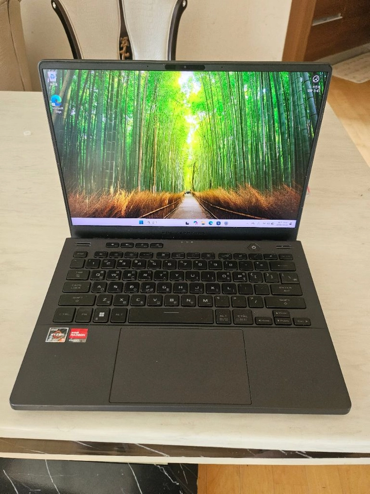 ASUS ROG Zephyrus G14 GA402RJ 이미지