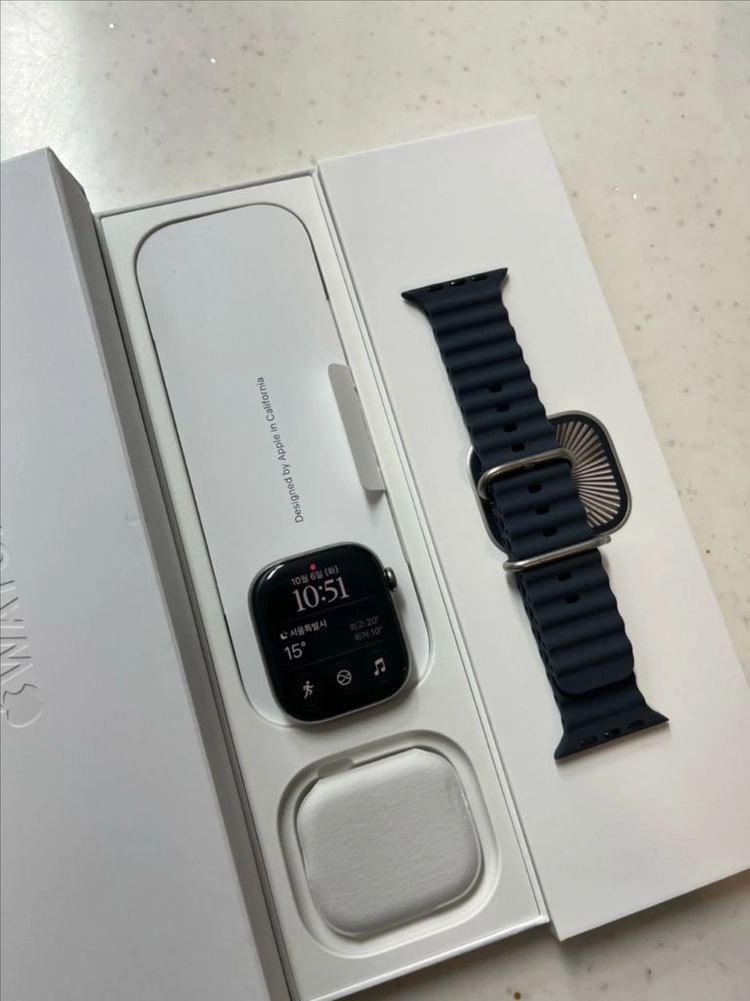 애플워치10티타늄 46mm 내추럴 SSS급 이미지