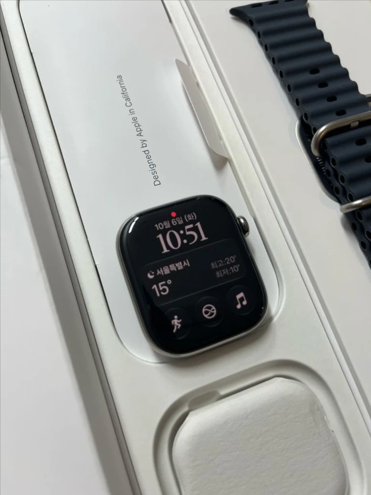 애플워치10티타늄 46mm 내추럴 SSS급 이미지
