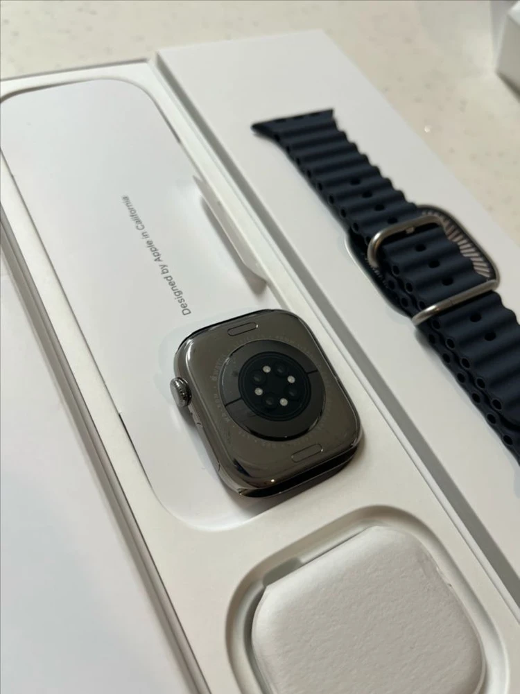 애플워치10티타늄 46mm 내추럴 SSS급 이미지