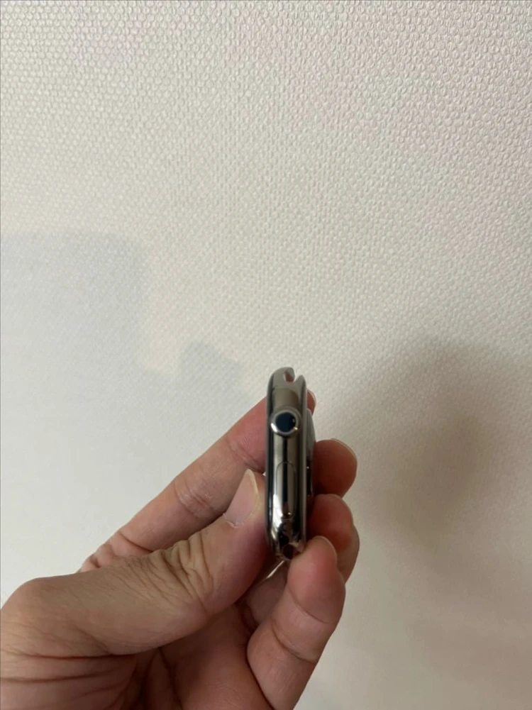 애플워치10티타늄 46mm 내추럴 SSS급 이미지